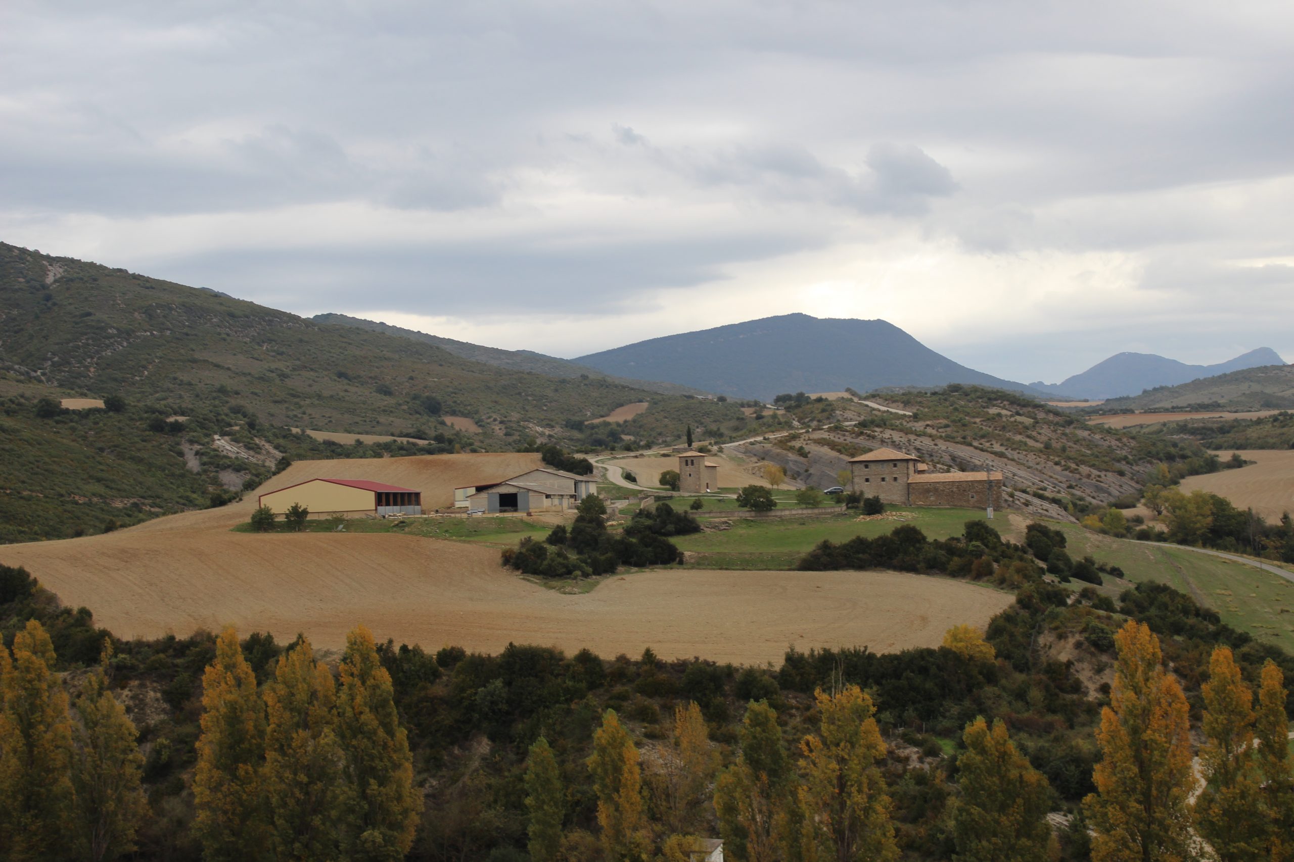 Arbonies-02-1200×911